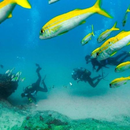 Devocean Eco Adventure Lodge 폰타 도 오우로 외부 사진