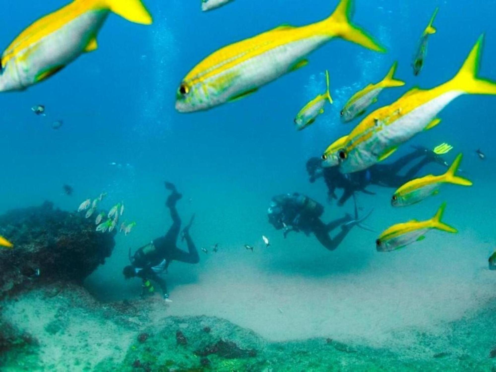 Devocean Eco Adventure Lodge 폰타 도 오우로 외부 사진