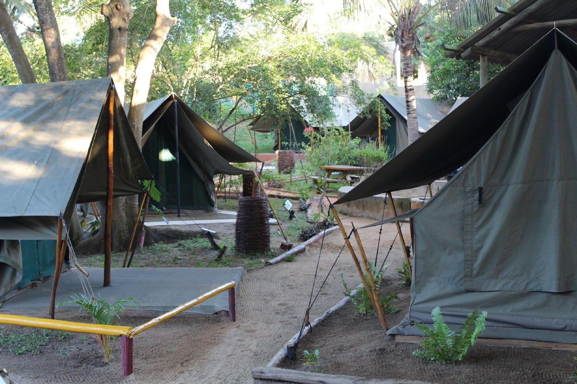Devocean Eco Adventure Lodge 폰타 도 오우로 외부 사진